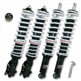 NJT eXtrem coilover VW Polo 6N, Variant