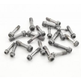 Carrillo BMW S1000RR rods Pro-H  8mm Carr Bolts