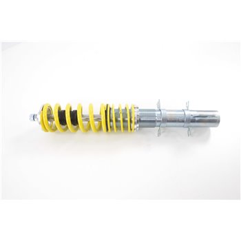 Coilover kit suspension kit VW Beetle 5C from year 2011 with  55mm strut, fixed rear axle