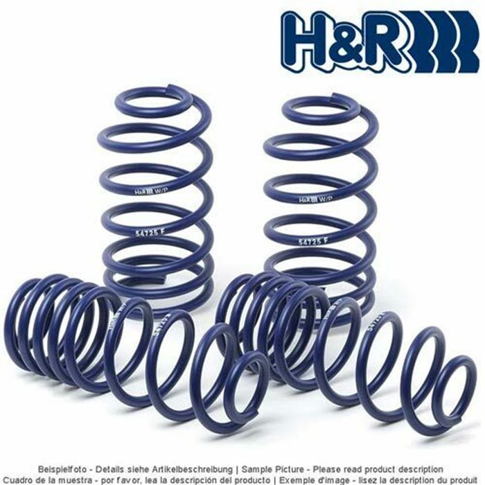 H&R Sport Lowering Springs 30/30 Dodge Charger/Challenger