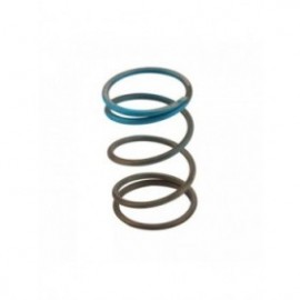 WG45/50 14psi Blue Outer Spring