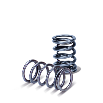 Supertech Valve Spring Set BMW S85