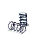 Supertech Valve Spring Kit Opel C20XE/LET