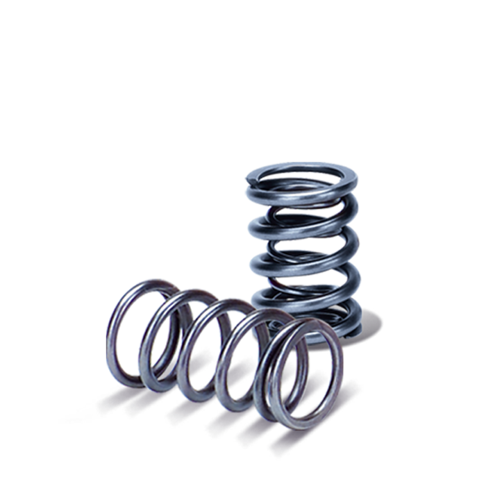 Supertech Valve Spring Kit Honda F20/22C K20/24