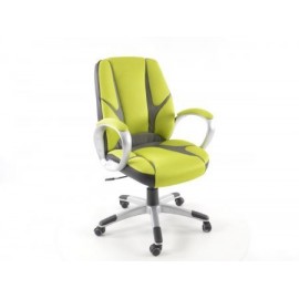 Office Chair Net green/grey with armrests
